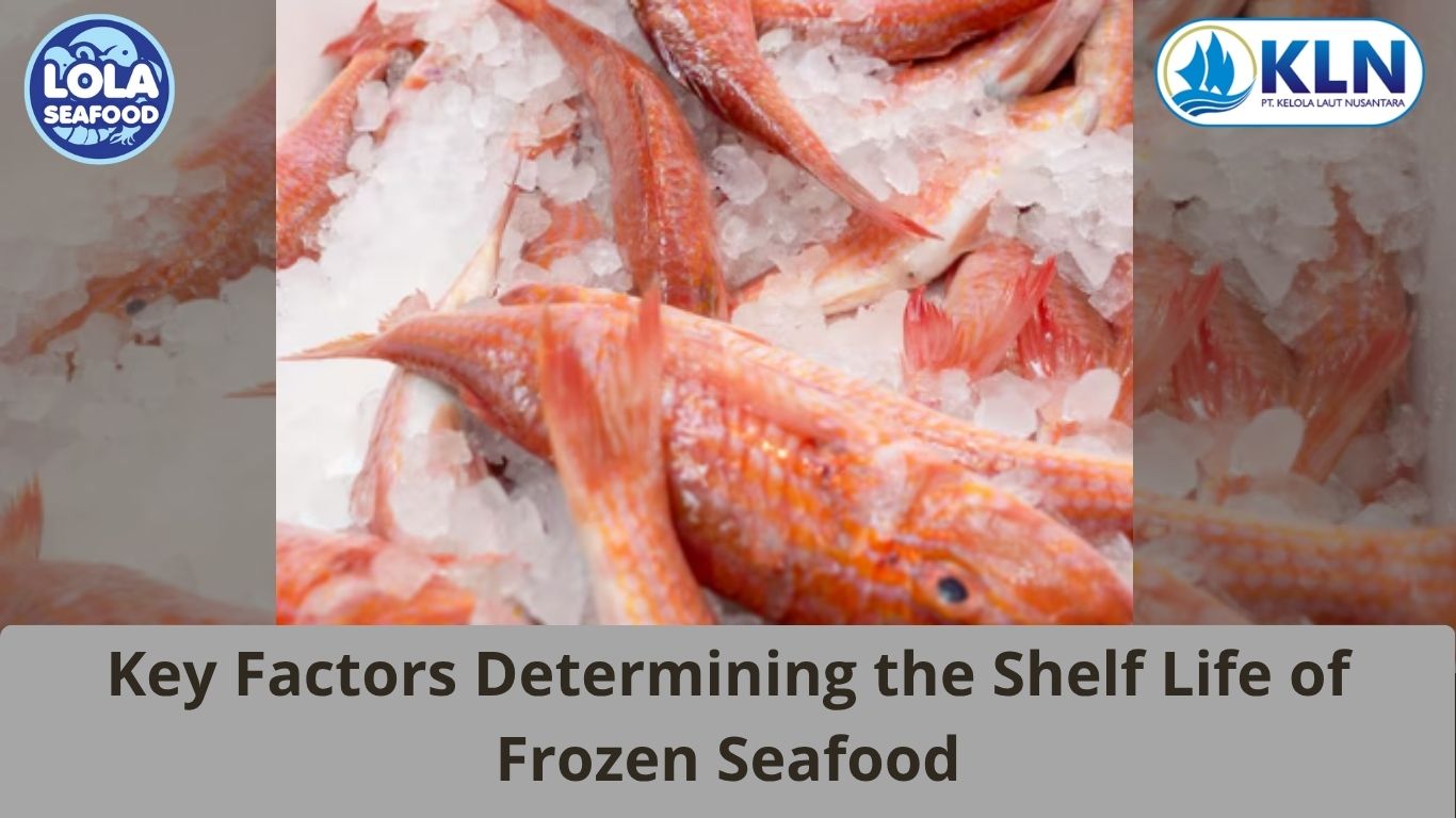 Key Factors Determining the Shelf Life of Frozen Seafood